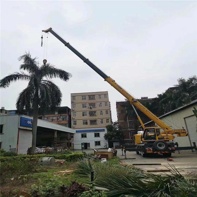 项城汽车吊出租多少钱？全面解析与市场行情